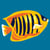 LUC - Kit canevas Soudan Le Poisson 20x20cm