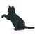 Chat noir qui donne la patte | JEKCA | 14 ans et +
