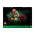 LEGO® 10309 - Les Succulentes - LEGO® Icons