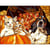 Princesse - Canevas antique Les 3 copains 50x65cm