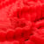 Tissu Doudou Ultra doux côtelé Rouge