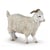 51170 Figurine Chevre angora - Papo