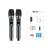Avizar Microphones sans fil DSP 192KHz Pro pour Ampli / Enceinte Écran LED Portée 50m Noir