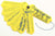 Méthode d'apprentissage WRAP-UPS Fraction