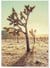 Affiche Nature Desert 1 | A3 : 29,7x42cm