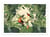 Affiche 50 x 70 cm -  Tropical Jungle Toucan - Andrea Haase