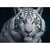 Tableau sur toile tigre regard saphir 30x45 cm