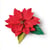 Gabarit de découpe pour machine Sizzix - Poinsettia élégant - Thinlits