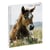 Cahier de textes - Spirale - 17x22cm - Cheval - Scolaire - Pratique - Exacompta