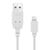 Avizar Câble USB vers iPhone iPad iPod Charge & Synchro Quick Charge 2.0 1,2m Blanc