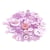 100 boutons en mélange résine couture scrapbooking MAUVE ROSE