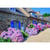 Puzzle 1000 Pièces Maison Traditionnelle Bretagne - Alize Group
