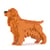 Chien Cocker Anglais roux Taille standard | JEKCA | 14 ans et +