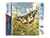 Diamond Painting Broderie Diamant Figured’Art 40x50cm toile entière roulée avec diamants carrés - Papillon Proserpine et Fleurs des Champs