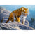 Puzzle tigre du bengale 180 pieces - collection animaux sauvages - castorland