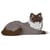 Chat Ragdoll gris foncé couché | JEKCA | 14 ans et +