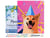 Peinture par Numéro Figured'Art avec Cadre - Chien souriant pop art - Kit de Loisir Créatif DIY Numéro d'Art - 40x50cm toile tendue sur châssis