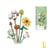 Jeux De Construction - Loz - Le Bouquet - Coton -