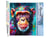 Peinture par Numéro Figured'Art - Chimpanzé Coloré Abstrait - Kit de Loisir Créatif DIY Numéro d'Art Complet - 40x50cm sans châssis en bois