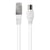 Force Power Câble TV Coaxial 9.52mm Mâle vers Ethernet Rj45 Mâle 2m Blanc