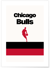 Affiche Chicago Bulls - Design minimaliste | A3 : 29,7x42cm