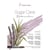 Bloc aquarelle sugar cane - Grain fin - A4 - 290g/m2 - 12 feuilles - Hahnemühle