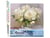 Peinture par Numéro Figured'Art - Pivoines blanches - Kit de Loisir Créatif DIY Numéro d'Art Complet - 40x50cm sans châssis en bois