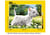 Canevas antique Westie 40x50cm