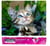 Diamond Painting Broderie Diamant LUMINLIFE 40x50cm, 100% strass, diamants ronds - Chaton adorable
