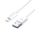 Avizar Cable Micro-USB Charge et Transfert De Données Intensité 1A Longueur 1.5m Blanc
