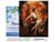 Peinture par Numéro Figured'Art avec Cadre - Femme assise Art Déco - Kit de Loisir Créatif DIY Numéro d'Art Complet - 40x50cm toile tendue sur châssis