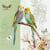 Lot de 4 serviettes en papier découpage collage 33 cm PEROQUET PAPILLON B