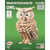 Quay - Maquette en bois Hibou