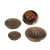 Bouton 4 trous imitation corne Marron
