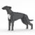 Chien Lévrier Anglais gris Taille standard | JEKCA | 14 ans et +