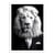 Affiche 50x70 cm - White Lion Wild Suits - Philippe Hugonnard