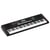 E-X10 Roland