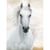 Diamond Dotz Cheval blanc impérial