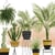 Lot de 4 serviettes en papier découpage collage 33 cm PLANTE INTERIEUR N 403