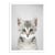 Affiche 30x40 cm - Kitten - Gal Design