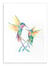 Affiche - Happy Humminbirds - Marc Allante