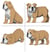 Chien Bulldog Anglais (4 en 1) beige Taille standard | JEKCA | 14 ans et +