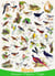 Puzzle 1000 pièces - Affiche sur les Oiseaux - Eurographics