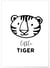 Affiche Petit tigre | A3 : 29,7x42cm