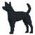 Chien de Taïwan Taille standard | JEKCA | 14 ans et +