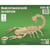 Quay - Maquette en bois Scorpion