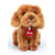 - Caniche Toy Oliver Assis
