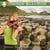 Musique irlandaise - musique traditionnelle irlandaise - CD