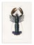 Affiche 30 x 40 cm - Crimson Crawfish - Charles Dessalines D