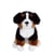 Peluche Chien Bouvier Bernois-  - Assis,25 cm